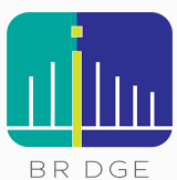 BRDGE Technology Pte Ltd.